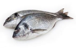 [F3232106] Dorada Piscifactoria Nacional 600-800 g/pz