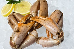 [2000] Bocas Namibia XL 4kg