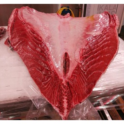 [704F] Atun Ventresca BF Salvaje