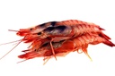 [0972] Gamba Alistada Cola 12x1kg