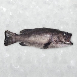 [756B] Mero 10/15 Origen