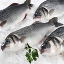 [F3234203] Lubina Piscifactoria Nacional 300-400 g/pz