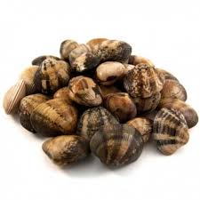 [7211] Almeja Cultivo 60-80 pz/kg (P) 1kg