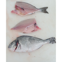 [F3232101] Dorada Piscifactoria Nacional 200-300 g/pz