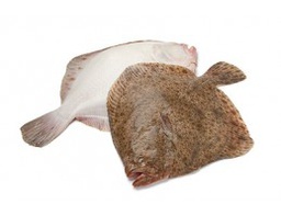 [7576] Rodaballo Vivero  2500-3000 g/pz