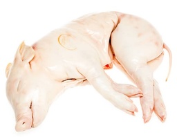 [3241] Cochinillo 4-5Kg Cong