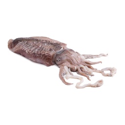 [716E] Sípia semiconserva M