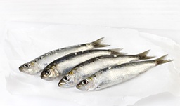 [728G] Sardina Fresca (G)