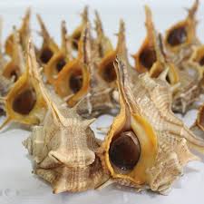 [7292] Cañailla Nacional Mediana