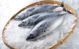 [9961] Gel Escama 20kg