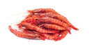 [7262] Gamba Platja P