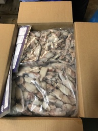 [1284A] Calamar Puntilla China Limpia IQF 6x1kg