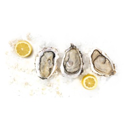 [740Gi] Ostra (GILLARDEAU) nº2  24 p/cj