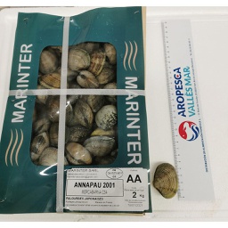 [721M] Cloïssa Marinter Mediterrani 30/40 AA CJ 2 KG