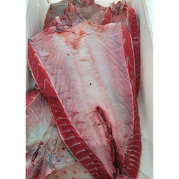 [704PA] Tonyina Parpatana Pulida 300-500 g/pça Cong