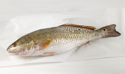 [77963] Corvina 3/4 Suprema 80gr Sodexo