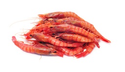 [7263] Gamba Playa (M)