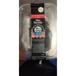 [640C] Alga Codium 200g