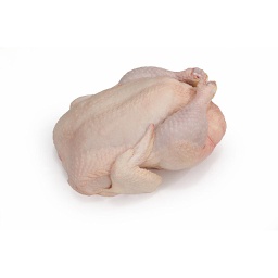 [3396A] Pollo Ast eviscerado